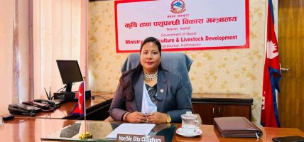 रासायनिक मल आपूर्तिमा सहजीकरणका लागि मन्त्री चौधरीको पहल